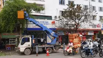 Vụ ‘chặt cây’: Tạm đình chỉ công tác 3 cán bộ Sở Xây dựng