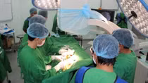 Nhờ BS Việt Nam, một bệnh nhân Campuchia trở về từ cõi chết