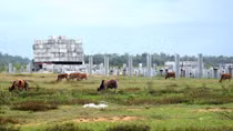 Chủ đầu tư Nhà máy thép Guang Lian ‘buông tay’
