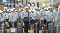 Thông tin mới nhất về hơn 1.000 lao động Việt Nam tại UAE bị chấm dứt hợp đồng