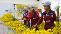 Lan vũ nữ rộng đường sang thị trường Nhật