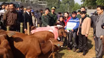 Hỗ trợ hộ mới thoát nghèo vay vốn phát triển sản xuất