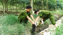  Về những quy định đối với pháp nhân phạm tội trong dự thảo Bộ luật Hình sự (sửa đổi)