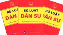 Nhiều quyết định hành chính xa rời thực tiễn, gây bức xúc dư luận