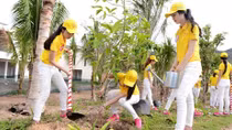 Những người đẹp trồng cây và tham quan danh thắng, di tích ở Nha Trang