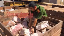 Khởi tố 4 vụ án buôn lậu hàng tấn ngà voi, sừng tê giác