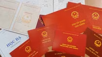 Trưởng Ban tổ chức Thành ủy bị kỷ luật cảnh cáo do mượn bằng tốt nghiệp