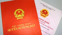 Chuyên viên tiếp dân lừa đảo cấp sổ đỏ