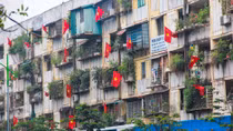 Đường phố Hà Nội rực rỡ đón xuân sang