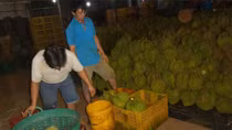 ‘Đột nhập’ cơ sở nhúng chất cấm làm chín sầu riêng