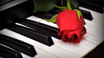 Mùa xuân của Trí