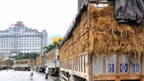 Doanh nghiệp Việt vẫn bị thua thiệt, ép giá trong thương mại biên giới