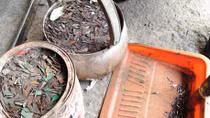 Cần xử lý nghiêm với 'đinh tặc'