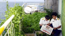 Món ăn tinh thần của lính biển xa