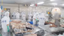 Họp Hội đồng Giám Đốc Trung tâm phát triển nghề cá Đông Nam Á lần thứ 48