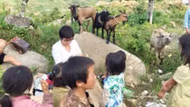 Về vụ nữ nhà báo viết bài chống tiêu cực bị kẻ xấu đe doạ: Tôi không đơn độc