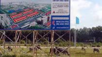 Tránh sập bẫy 'cò' và chuyển nhượng đất với giá ảo