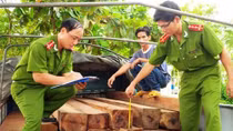 Nhức nhối tình trạng xâm phạm tài nguyên rừng