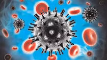 Cuba công bố nghiên cứu về chủng virus HIV mới