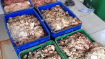 Thu giữ hàng tấn da, mỡ bò hôi thối