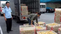 Nguy cơ lớn về lây lan dịch bệnh