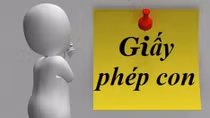 Lo ngại tình trạng giấy phép con tái xuất