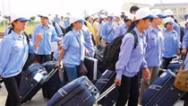 Đưa hơn 56 nghìn lao động đi làm việc ở nước ngoài
