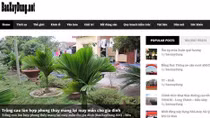 Phát hiện trang web giả mạo Báo Xây dựng điện tử