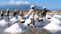Nhà nước sẽ thực hiện các biện pháp điều tiết thị trường muối