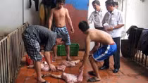Thịt heo nhiễm vi khuẩn ‘cực nguy hiểm’ ở lò giết mổ