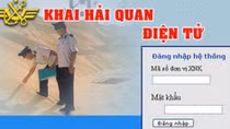 Hải quan điện tử và hiện đại hóa Hải quan tại Việt Nam