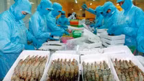 Để sản phẩm thủy sản “sạch” tiếp cận thị trường nước ngoài