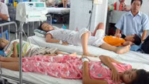 TPHCM: Bỏ sót 23 ca sốt xuất huyết