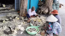 Nỗ lực phát triển nghề trầm Tiên Phước