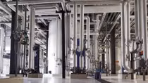 Vai trò của DHA trong dầu cá thực phẩm đối với sức khỏe con người