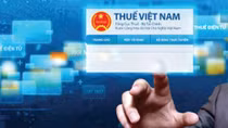 Công ty Traenco Việt Nam bị dừng làm thủ tục hải quan vì chậm nộp thuế