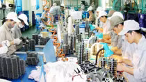 Doanh nghiệp trong và ngoài nước đầu tư, thành lập mới tăng mạnh