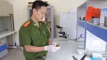 Phá án từ giám định ADN