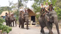 Vẫn loay hoay tìm giải pháp