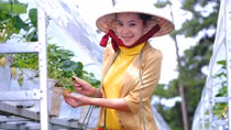 Phát triển thương hiệu các sản phẩm đặc trưng