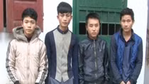 Phá ổ nhóm chuyên trộm trâu bò