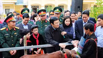 Chủ tịch nước tặng 50 con bò giống cho hộ nghèo tỉnh Hà Giang