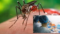 Việt Nam đã có 2 trường hợp nhiễm virus Zika