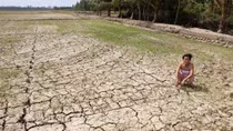 139.000 ha lúa thiệt hại, nửa triệu người thiếu nước sinh hoạt