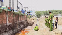 Công ty chế biến mật ong xả thải ra môi trường 