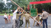 Bí ẩn hoa tế thần