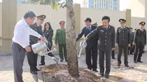 Thứ trưởng Thường trực Đặng Văn Hiếu dự “Tết trồng cây đời đời nhớ ơn Bác Hồ” tại Hòa Bình