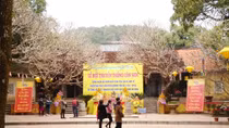 Nhiều nét mới tại lễ hội mùa xuân Côn Sơn - Kiếp Bạc 2016