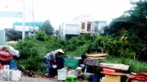 Những người mẹ mùa xuân không về