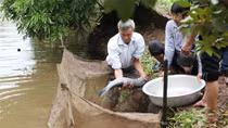 Cá kho làng Vũ Đại nhộn nhịp đón Tết
